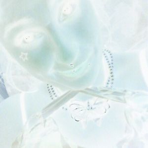 Meet your Posher, Weedylee